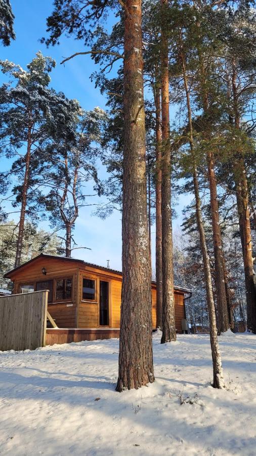 Polwysep Lipa Villa Wdzydze Tucholskie Bagian luar foto