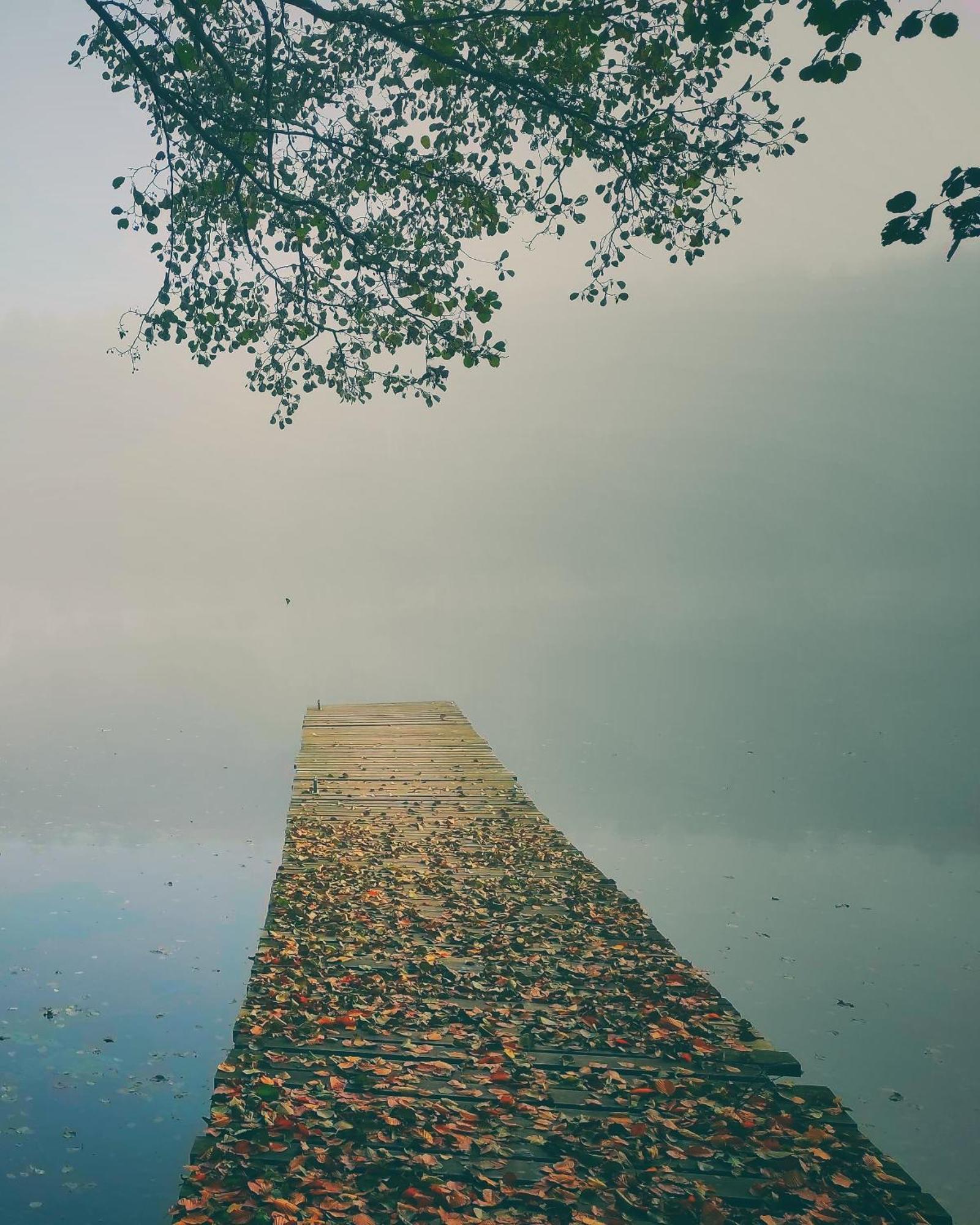 Polwysep Lipa Villa Wdzydze Tucholskie Bagian luar foto