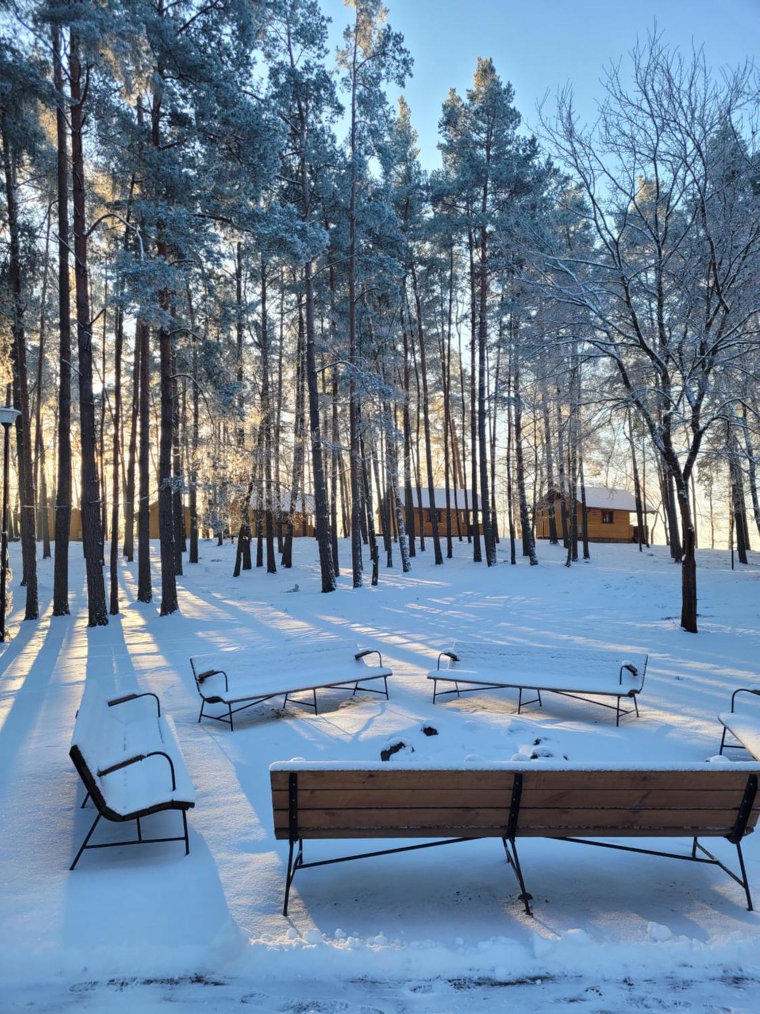Polwysep Lipa Villa Wdzydze Tucholskie Bagian luar foto