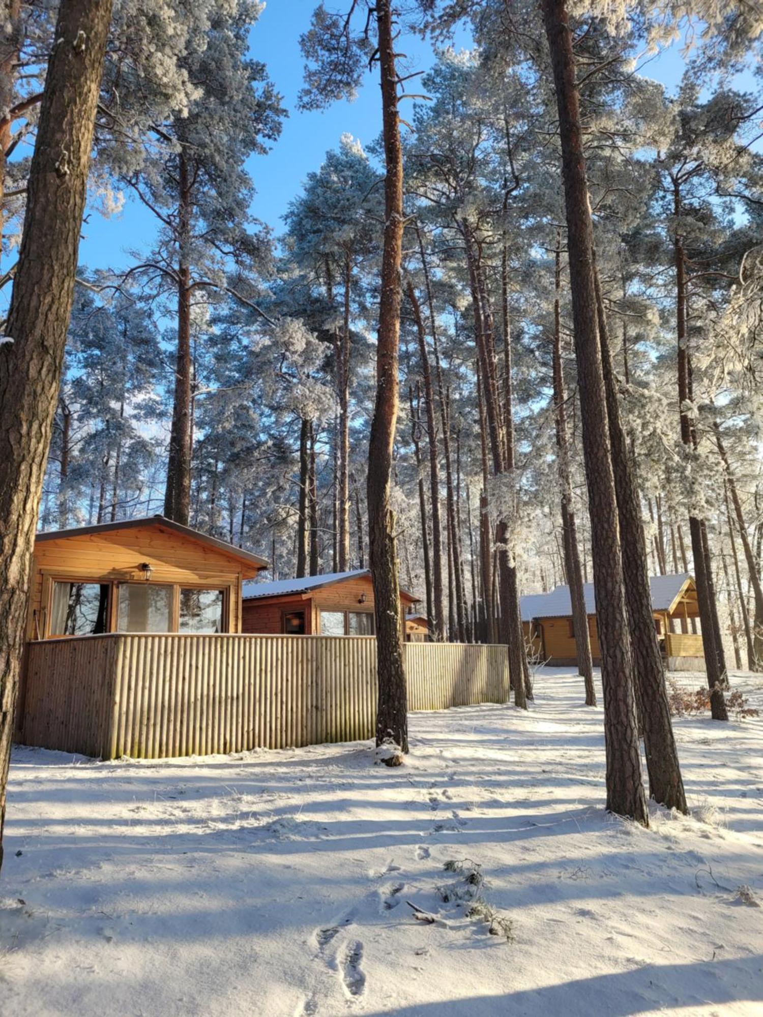 Polwysep Lipa Villa Wdzydze Tucholskie Bagian luar foto