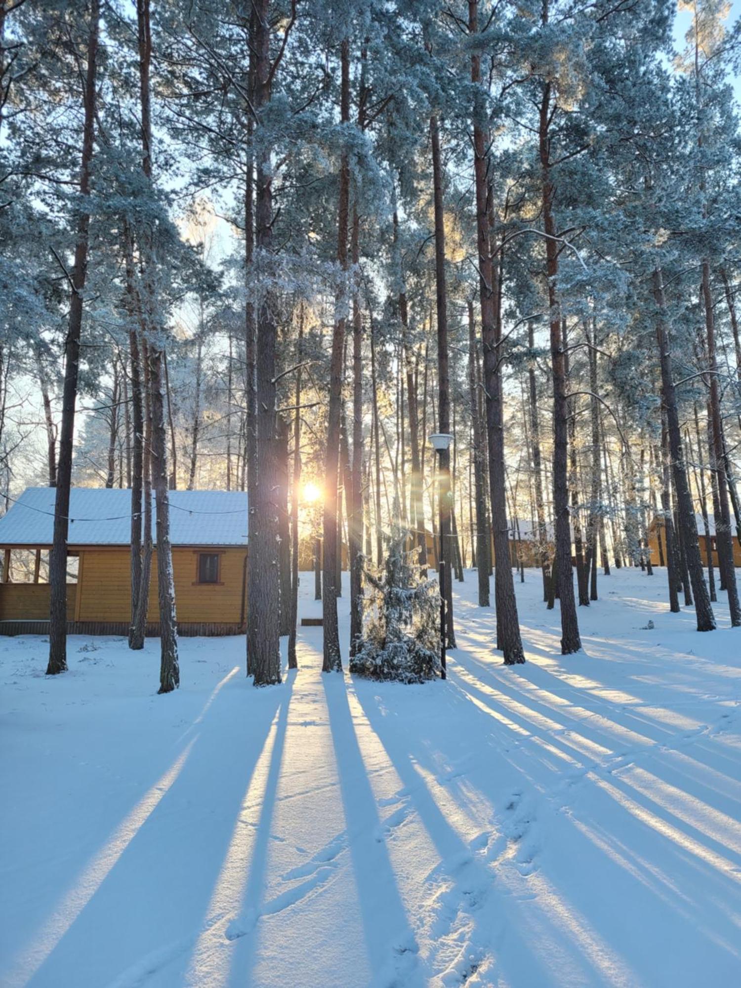 Polwysep Lipa Villa Wdzydze Tucholskie Bagian luar foto