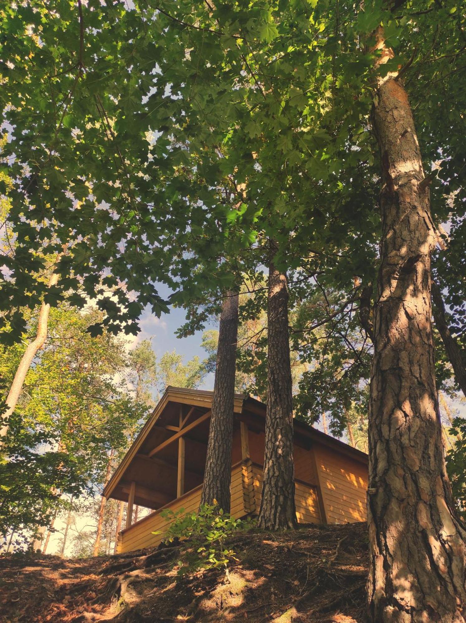 Polwysep Lipa Villa Wdzydze Tucholskie Bagian luar foto