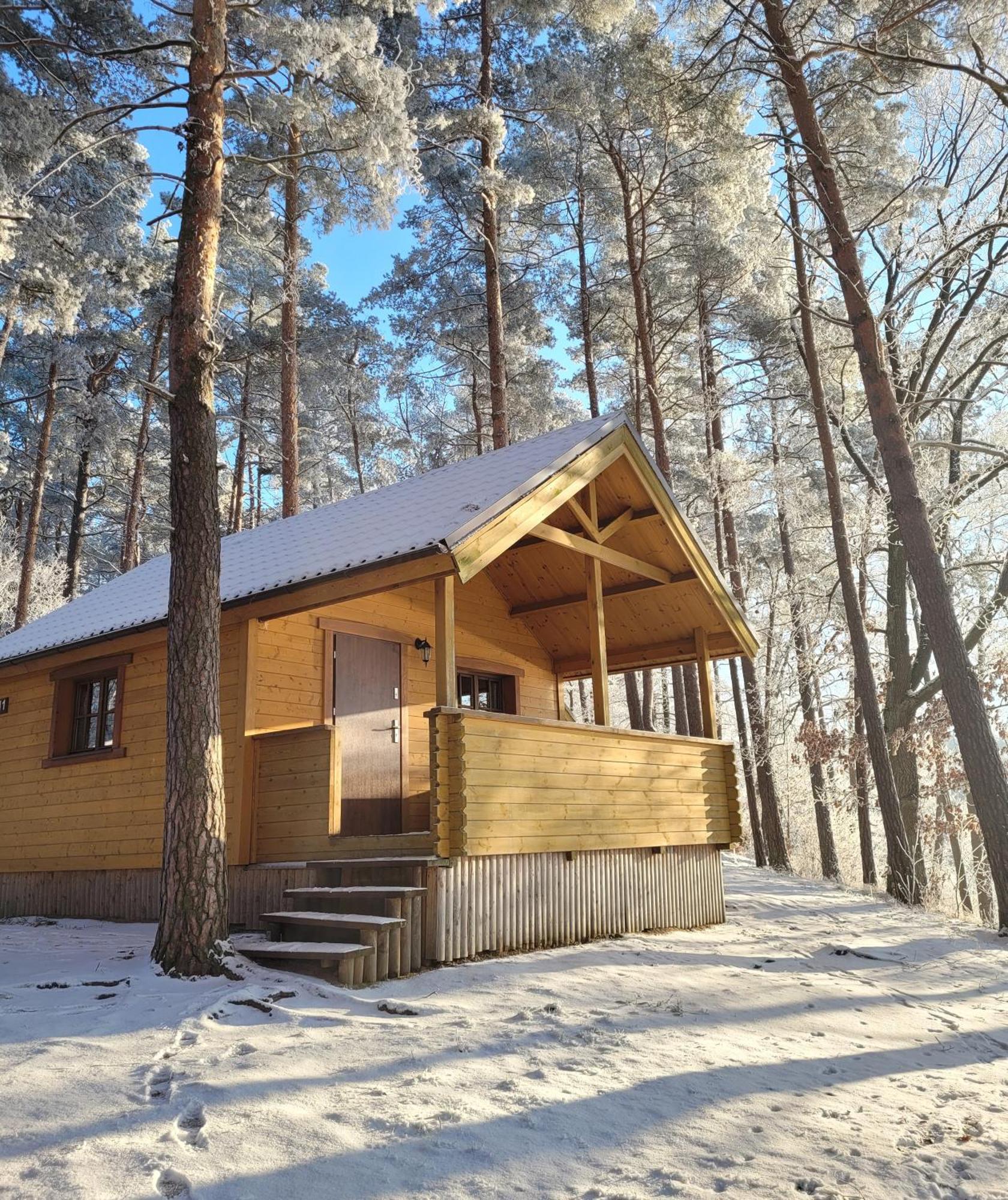 Polwysep Lipa Villa Wdzydze Tucholskie Bagian luar foto