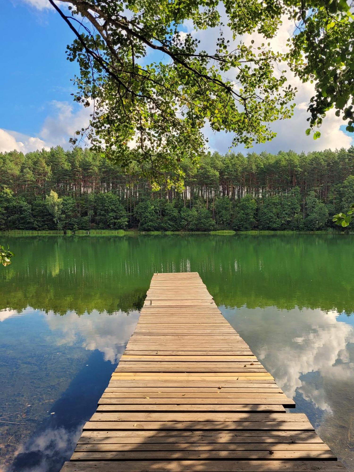 Polwysep Lipa Villa Wdzydze Tucholskie Bagian luar foto
