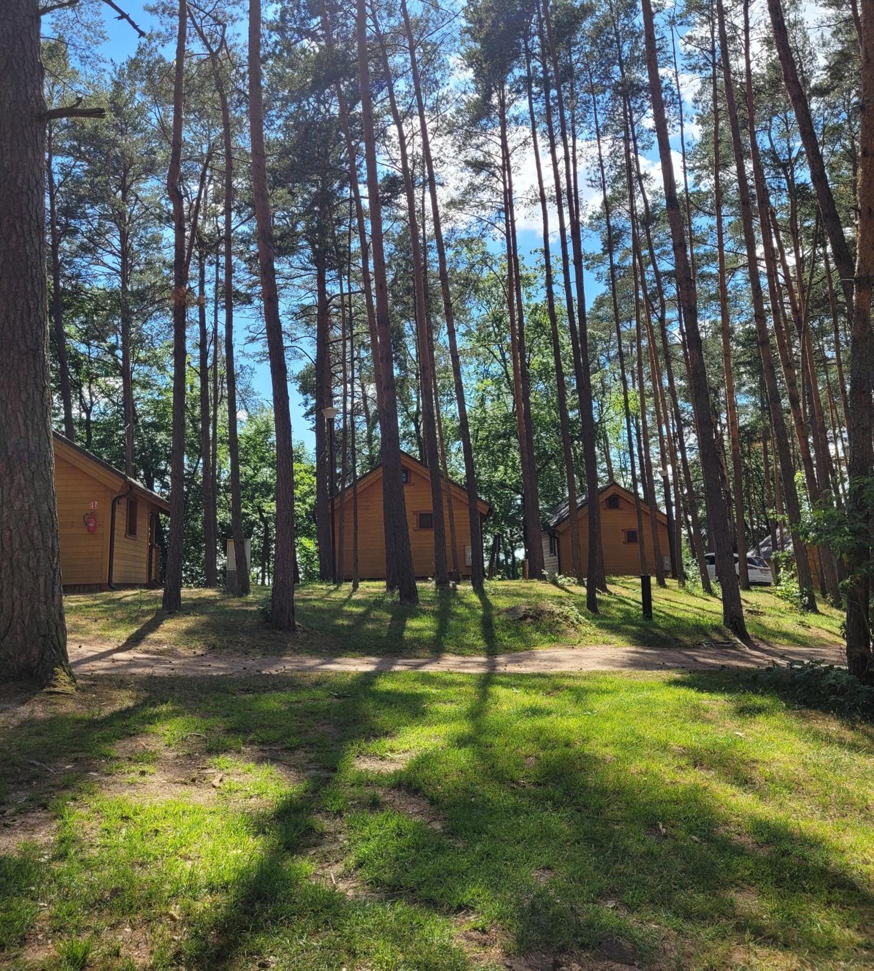 Polwysep Lipa Villa Wdzydze Tucholskie Bagian luar foto