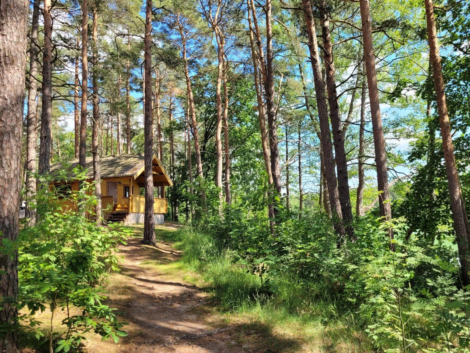 Polwysep Lipa Villa Wdzydze Tucholskie Bagian luar foto